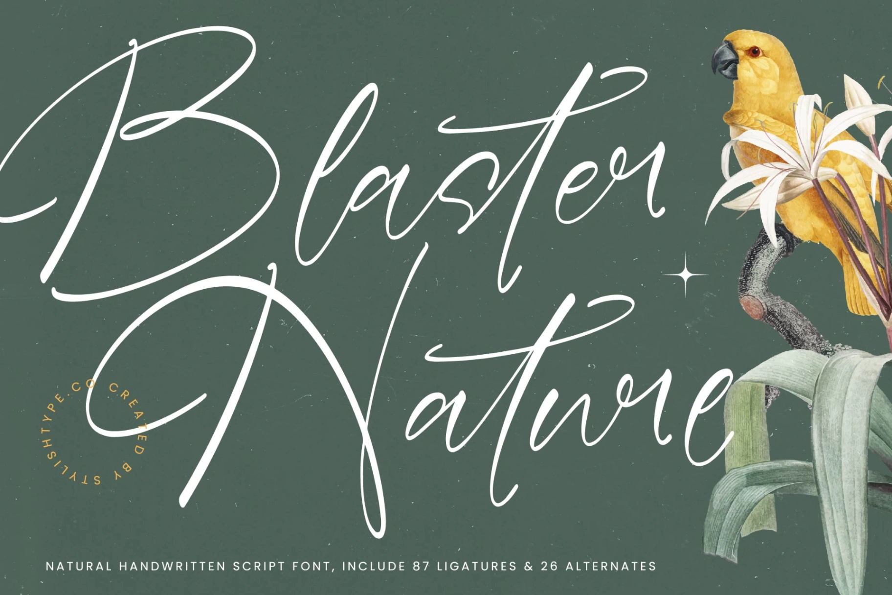 Blaster Nature - Natural Handwritten Script Font Font | Timeless Type